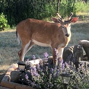 Meet your Posher, Jayne